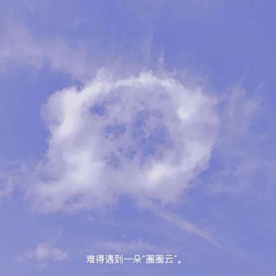 手机晴天小猫游戏免费下载